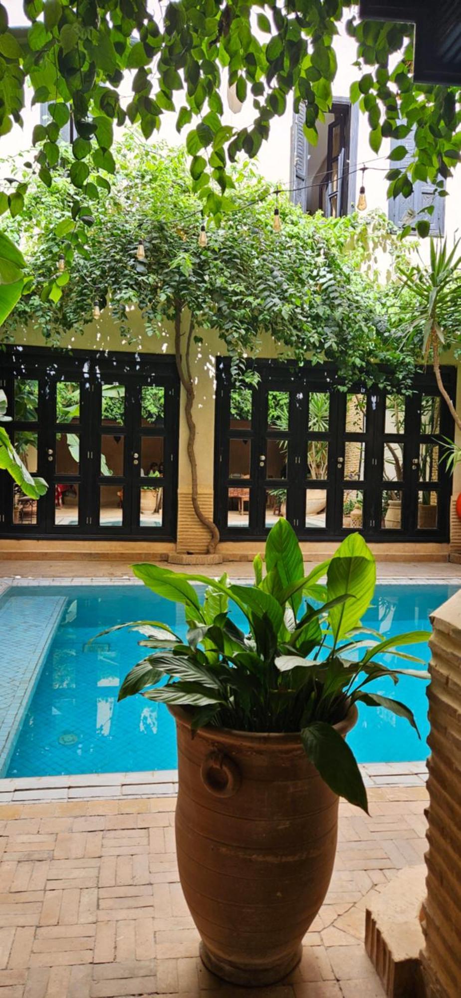 Riad Dar Haven Tamraght Exterior photo